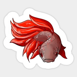 Betta Fish Sticker